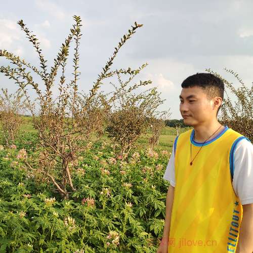 37岁岁广东单身帅哥 - 潮州吉缘网